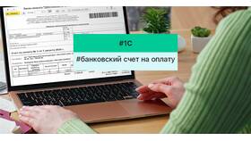 Что такое СУИП при оплате по реквизитам в Тогас