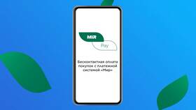 Как платить картой МИР Сбербанка