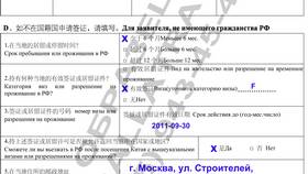 Как распечатать анкету на визу в Китай в Тогас