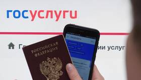 Как распечатать ИНН с Госуслуг с телефона в Тогас