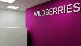 Почему на Wildberries теперь платная доставка в Тогас