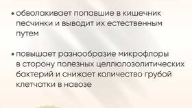 Псилиум: препарат, инструкция, цена и аналоги в Тогас