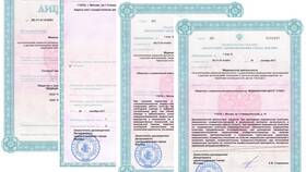 Справка о нахождении на больничном: назначение и получение в Тогас