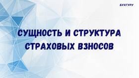 Сущность программ добровольного пенсионного страхования в Тогас