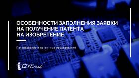 Заявка и заявление: в чем разница в Тогас
