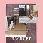 Что означает статус 