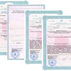Справка о нахождении на больничном: назначение и получение