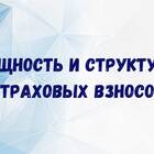 Сущность программ добровольного пенсионного страхования